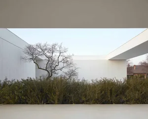 Modern white building exterior with minimalist design and green hedge.