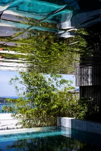 Bamboo trees reflected in a glass roof with a swimming pool below.