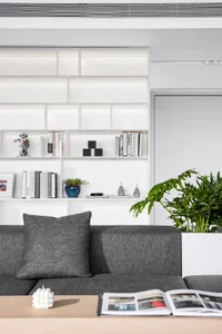 A modern minimalist living room features a grey couch, white shelves with books and decorative items, and a potted plant.