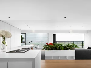 A minimalist living room with white cabinets, large windows, and a green plant.