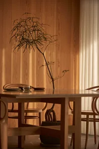 A modern dining room featuring wooden furniture and a potted plant.