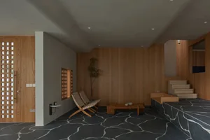 現代客廳採用混凝土與木質飾面