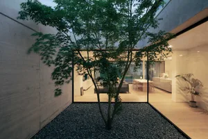A minimalist interior design with a concrete garden featuring a tree surrounded by gravel.