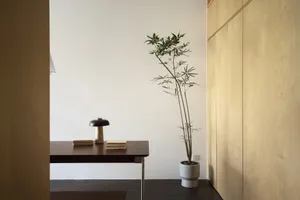 A modern minimalist interior featuring a wooden cabinet with a potted plant and a desk lamp.