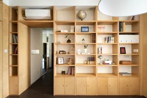 A well-designed modern living room with wooden bookshelves filled with books and decorative items.