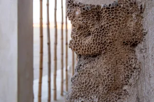 Concrete columns with honeycomb texture in an outdoor setting.