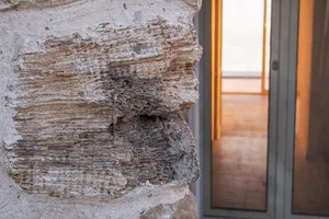 Close-up view of a rough-textured, weathered cement wall with visible layers and voids.