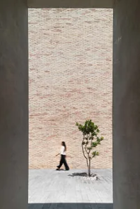 A minimalist space featuring a concrete wall and a small tree.