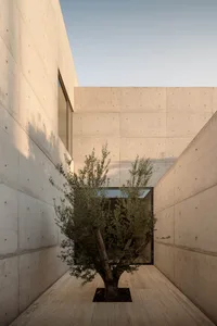 Concrete interior with a tree in a cutout in the wall