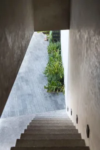Concrete steps leading to a minimalist entrance pathway surrounded by greenery.