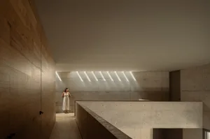 A modern residential space featuring concrete and wooden walls.