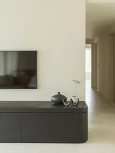 A modern minimalist living room with black wooden furniture, a flat-screen TV mounted on the wall, and a small green plant on