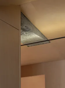 Modern interior design with wooden ceiling