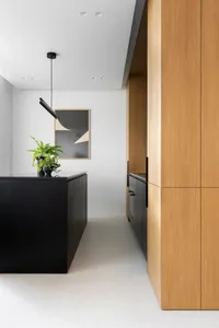 A modern minimalist kitchen featuring a black kitchen island with a potted plant and a wooden cabinet with a geometric abstra
