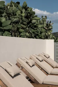 Lounge area with wood loungers, fabric cushions, and walls of cactus plants.