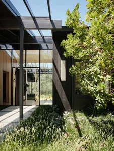 Modern exterior with black wood materials and greenery in the foreground.