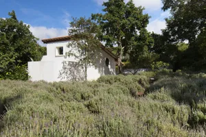 A white plaster house surrounded by greenery with a tree in front of it.