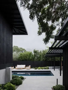 Modern outdoor pool area with concrete deck and camphor trees