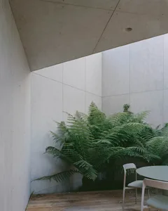 A modern indoor plant corner made of concrete.