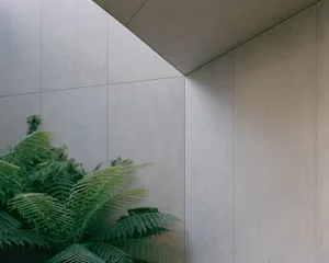 Modern minimalist interior design featuring concrete walls and greenery.