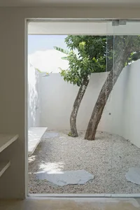 Modern residential garden featuring concrete fixtures and gravel path, with two trees providing shade.
