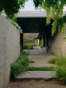 A minimalist pathway made of concrete with greenery on either side.
