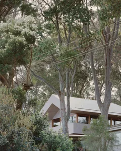 Modern residential home nestled in an abundant forest with greenery and tall trees.