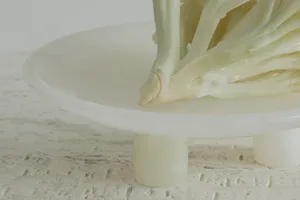 A piece of cabbage placed on a white, glass countertop with three legs.