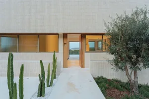 Modern residential exterior with concrete facade and cactus plants.