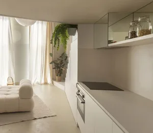 A modern white kitchen with minimalist design, featuring white cabinets, a black countertop, and indoor plants.