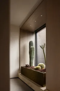 A minimalist indoor cactus garden featuring tall, skinny green cacti in a wooden planter.