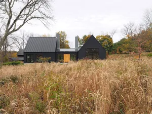 A minimalist black home with a metal roof and wooden door surrounded by tall grass and trees.