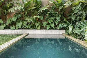 A modern backyard featuring a concrete swimming pool surrounded by lush green foliage.