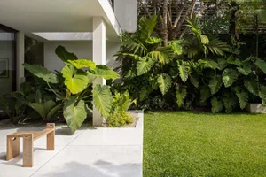 Modern exterior garden with concrete patio, lush green plants, and grassy lawn