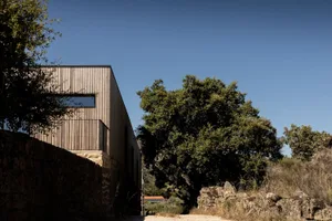 Modern residential exterior showcasing contemporary design features and use of natural wood materials.