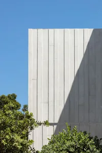 Concrete wall of a modern building with vertical paneling and green foliage in the foreground.