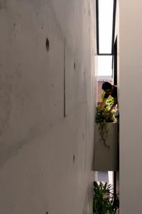 A man is maintaining plants on a concrete balcony.