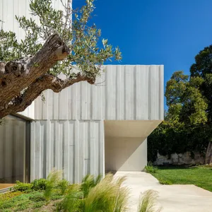 Modern minimalist residential exterior featuring concrete and greenery.