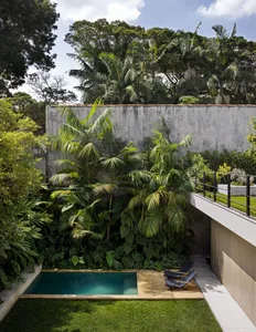 Modern pool deck with concrete walls, tropical plants, and a wooden deck surrounded by lush greenery.