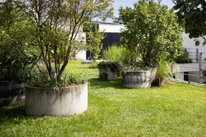Well-maintained outdoor garden featuring concrete planters with lush green vegetation and grass.