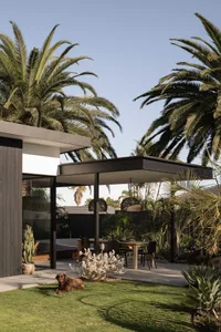 Modern residential backyard featuring wood patio furniture, concrete floor, and palm trees