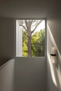 Minimalist window with glass walls overlooking trees.