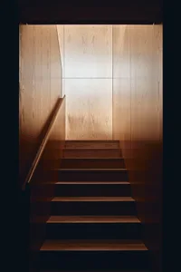 A modern wooden staircase with a wooden handrail and wooden walls.
