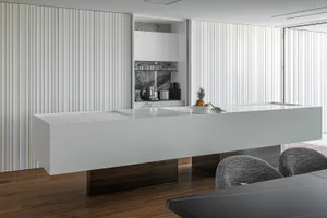 Modern minimalist kitchen featuring marble countertops and white vertical paneling.