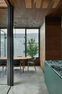 Modern interior space with concrete flooring, minimalist design, and indoor plant.