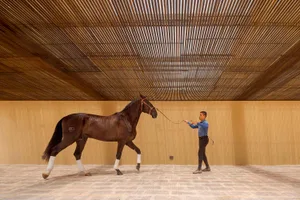 A man standing next to a brown horse in a covered pen with tiles on the floor
