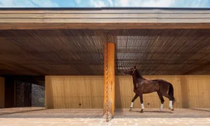 A sleek, modern roofline structure for a horse stable, featuring metallic design elements.