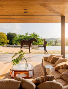 A minimalist living room with a horse outside, featuring wooden furniture and a large glass window.