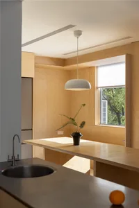 A minimalist indoor kitchen with wooden panels and a white pendant light hanging above a counter.