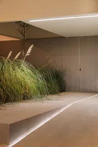 A modern interior design featuring a concrete space with green plants and minimalist lighting.